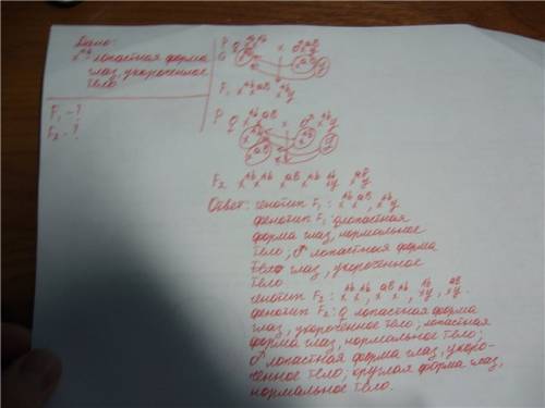 Удрозофилы доминантный ген, определяющий собой «лопастную» форму глаз, располагается в той же хромос
