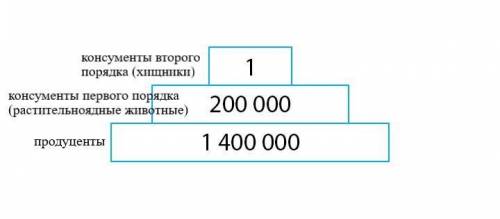 Постройте экологическую пирамиду чисел степи (летом), если количество особей, кроме микроорганизмов 