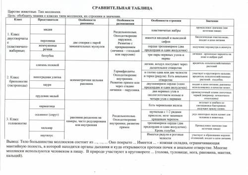 Симетрия тела брюхоногих, двустворчатых, головоногих? ? кровеностая системы брюхоногих, двустворчаты
