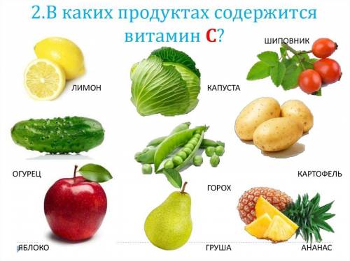 ответить на опросы как можно кратко и понятно . (8 класс) 1.что такое основной обмен? почему он мень
