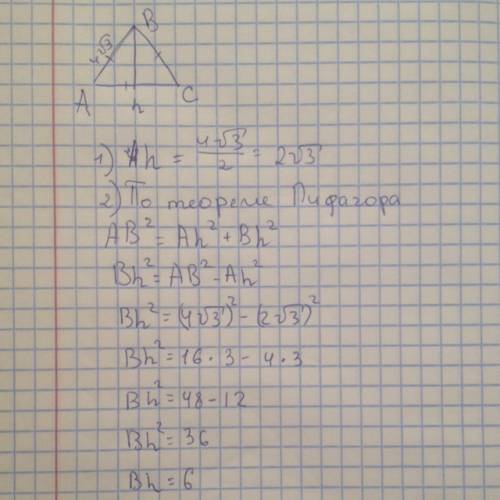 Треугольник авс равносторонний со стороной 4√3.найдите высоту сн