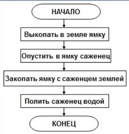 Приме ры алгоритмов в быту: линейный, циклический, разветвляющий