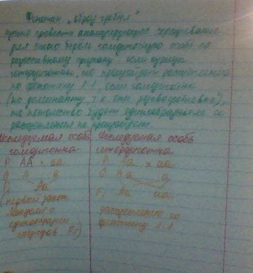 Укур розовидный гребень доминирует над простым. птицевод подозревает, что несколько его виандотов, и