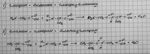 Написать уравнения реакции образования дипептидов из глицина и аламина