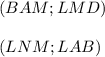 (BAM;LMD)\\
 \\ (LNM ; LAB)