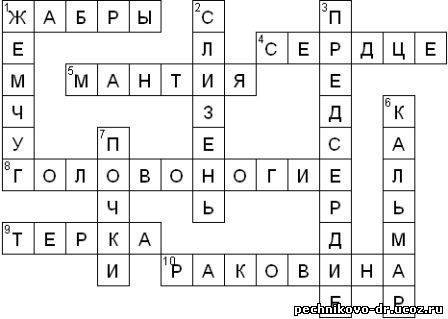 Составить кроссворд на тему моллюски.