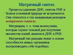 Как вы понимаете фразу: молекулы рнк - матрицы для синтеза белков ?