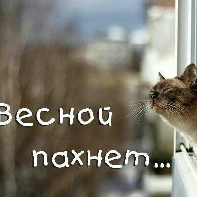 Составить предложения с местоимениями ни для чего, ни от кого.