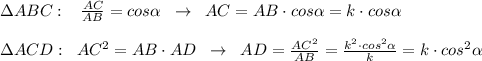 \Delta ABC:\; \; \; \frac{AC}{AB}=cos \alpha \; \; \to \; \; AC=AB\cdot cos \alpha =k\cdot cos \alpha \\\\\Delta ACD:\; \; AC^2=AB\cdot AD\; \; \to \; \; AD= \frac{AC^2}{AB} = \frac{k^2\cdot cos^2 \alpha }{k} =k\cdot cos^2 \alpha