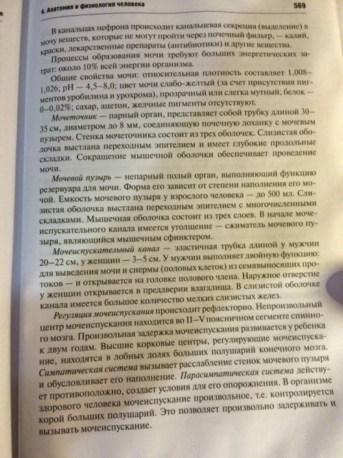 Функции составных частей почек. из чего состоит почка