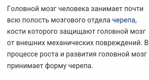 Что защищает от повреждений головной мозг