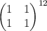 \begin{pmatrix}
1 & 1 \\ 1 & 1
\end{pmatrix}^{12}