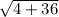 \sqrt{4+36}