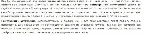 Рассказ про сентябринки 5 предложений
