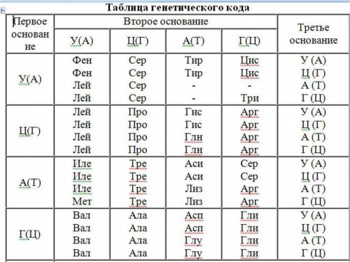 На участке цепи днк нуклеотиды расположены в такой последовательности: ага ттг цца ттг какую первичн