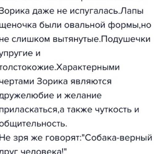 Сочинение описание (собаки) 1 страница тетради. 5 класс