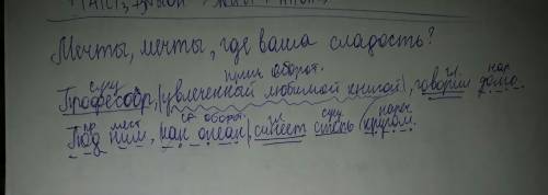 Выполните синтаксический разбор предложений. мечты, мечты, где ваша сладость? профессор, увлеченный