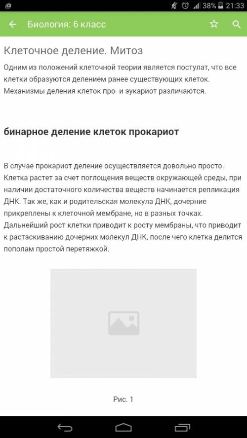 Органические вещества клетки, днк, состав, строение, комплиментарность, самоудвоение и роль в клетке