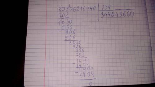 80506216440/ 234 ( у столбик решение)