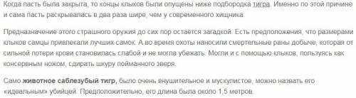 Сообщение на тему соблезубый тигр. в времена древних людей.