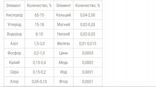 Элементарный состав углеводов, белков, нуклеиновых кислот.