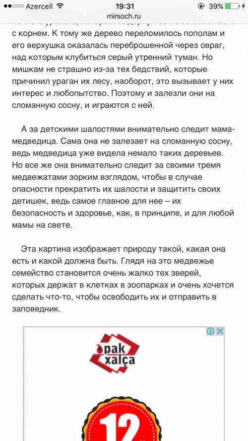 Мои впечатления о картине утро в сосновом лесу