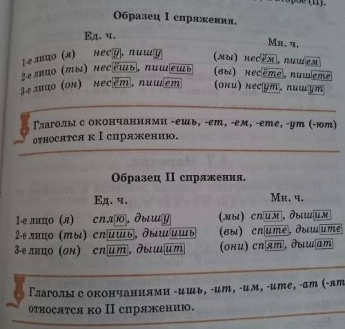 Составьте таблицу спряжений с примерами. по языку 5 класс