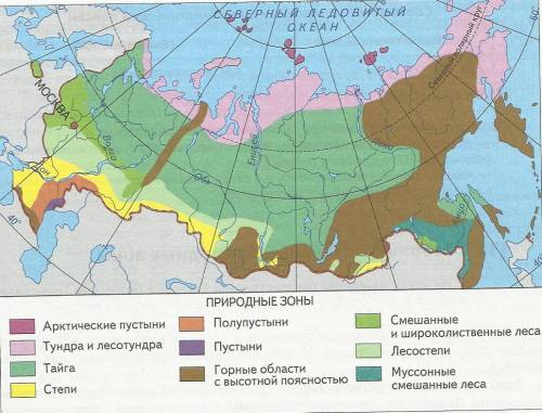 Выберите любую природную зону и составьте план её описания