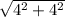 \sqrt{ 4^{2} + 4^{2} 
