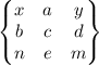 \begin{Bmatrix}
x& a& y\\
b& c& d \\ 
n& e & m
\end{Bmatrix}