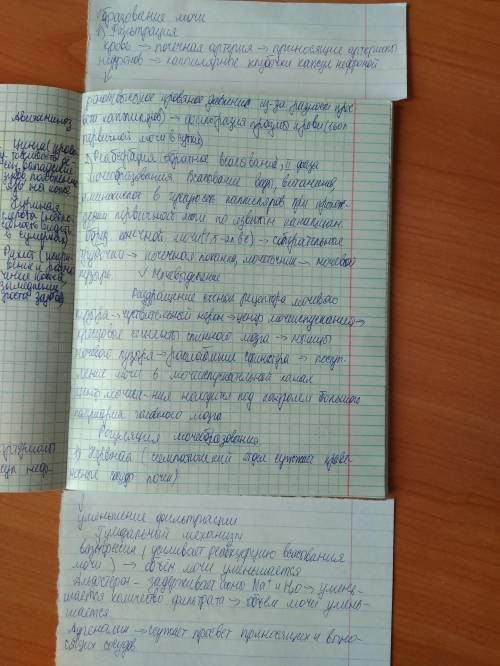Перечислите последовательно органы, осуществляющие образование и выведение мочи?
