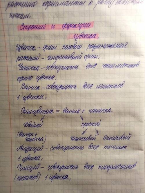 Оссобенности строения цветка, плода жизненные формы коротко