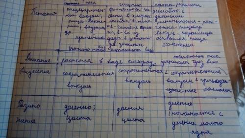 Вписать в таблицу ! группы бактерий представители значение