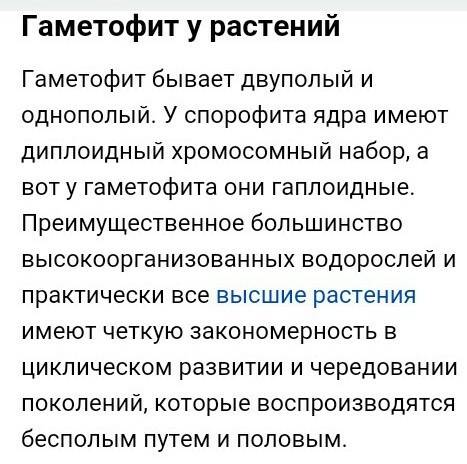 Вчём выражен гаметофит у цветковых растений
