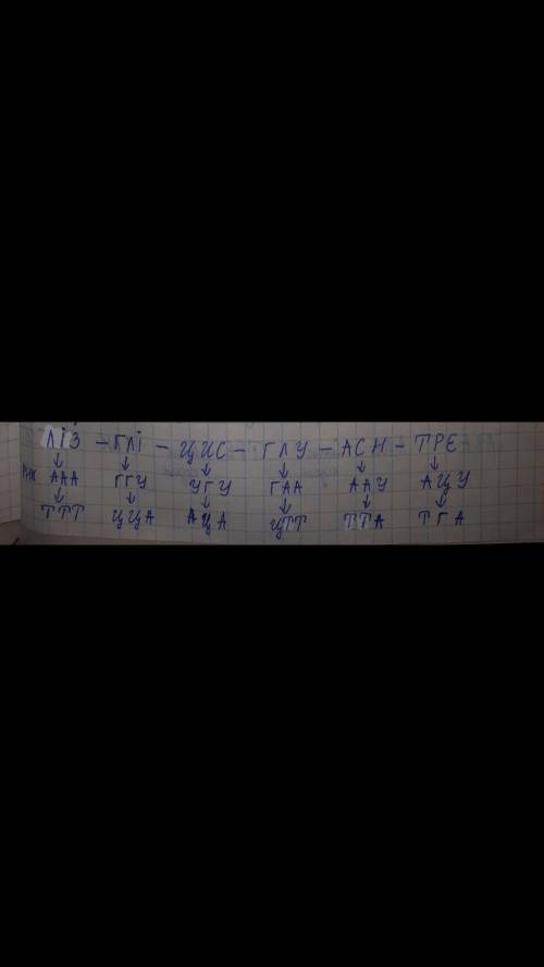 Якою послідовністю нуклеотидів молекули днк кодується ділянка молекули білка, якщо він має таку будо
