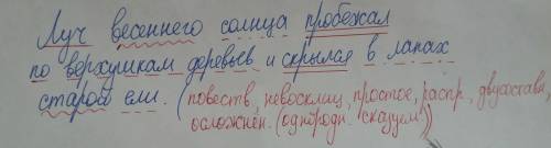 Синтаксичиский разбор : луч весеннего солнца пробежал по верхушкам деревьев и скрылся в лапах старой