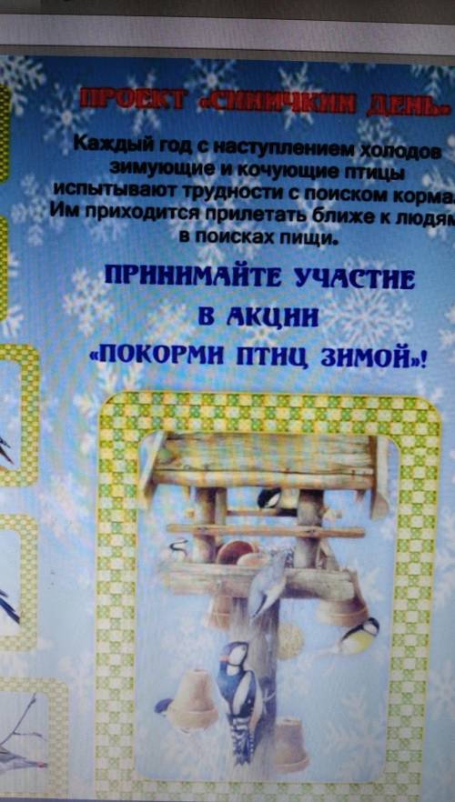 Написать постер синичкин день