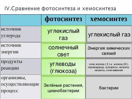 Сравните процессы фотосинтеза и хемосинтеза. что общего и различного между фотосинтезом и хемосинтез