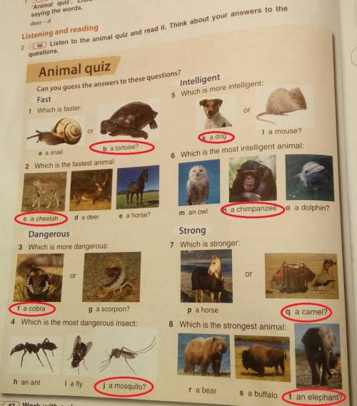 look at the animals in exercise 2. readthe sentences using the comparative orsuperlative of the adje
