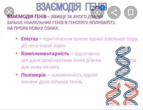 Какие виды взаимодействия генов?