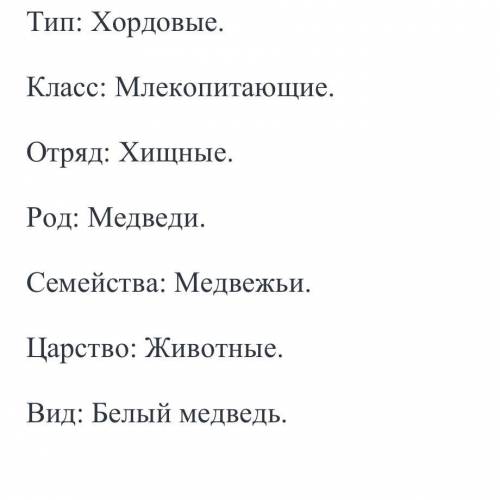 Ставьте классификацыю медведь белый используя опорные слава тип, класс, отряд, род, семейства , царс