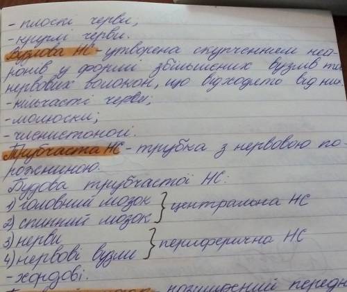 Опишіть типи нервової системи тварин