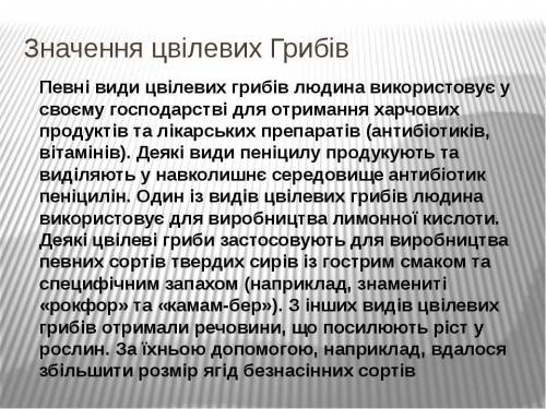 Яке значення дріжджевих та цвілевих грибів?