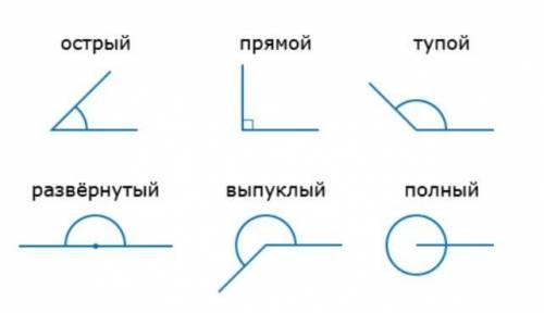 Построить углы с разными градусными мерами и подписать с определением видов углов