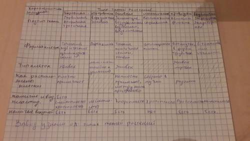Клеток и тканей растений. Ход работы1. Рассмотрите строение тканей растений,2. Обратите внимание на