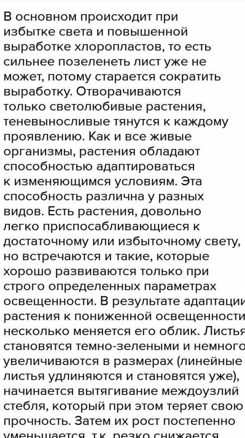 При каких условиях листья отварачиваются от света