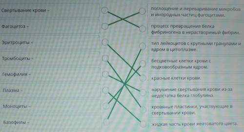 Сопоставь термины и их определения. Свертывание крови -опоглощение и переваривание микробови инородн