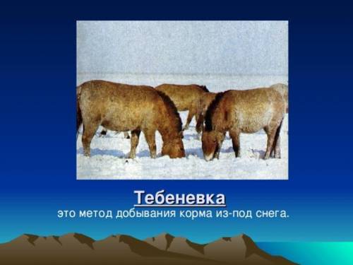 ответьте на это всё ПРАВИЛЬНО,кто за БАН!