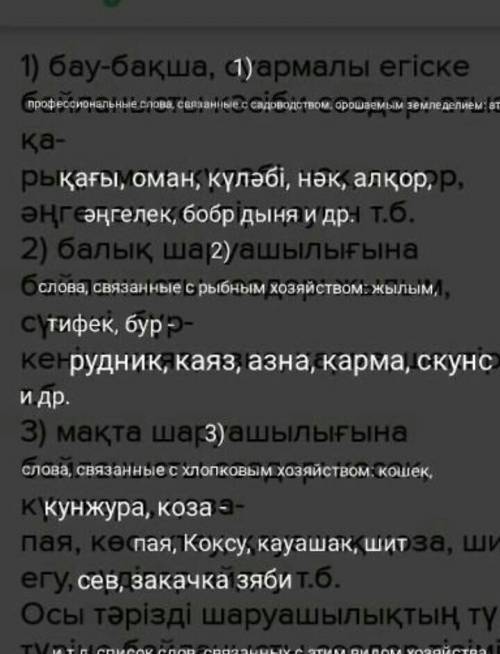 1) бау-бақша, суармалы егіске байланысты кәсіби сөздер: атыз, қа- рық, оман, күләбі, нәк, алқор, əңг
