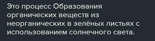 Какие условия кроме света необходимы для осуществления данного процесса​